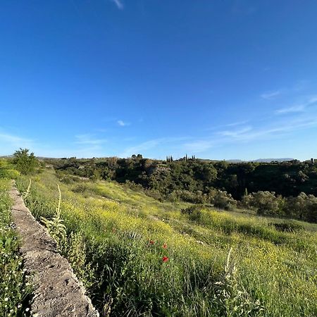 Villa Ignacia B&B - Naturaleza Entre Ronda Y Setenil Arriate Dış mekan fotoğraf