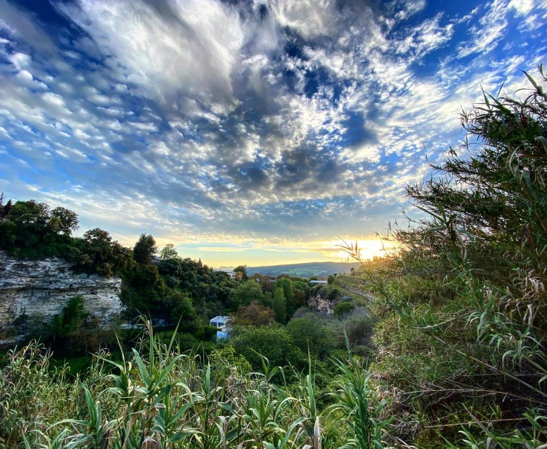 Villa Ignacia B&B - Naturaleza Entre Ronda Y Setenil Arriate Dış mekan fotoğraf