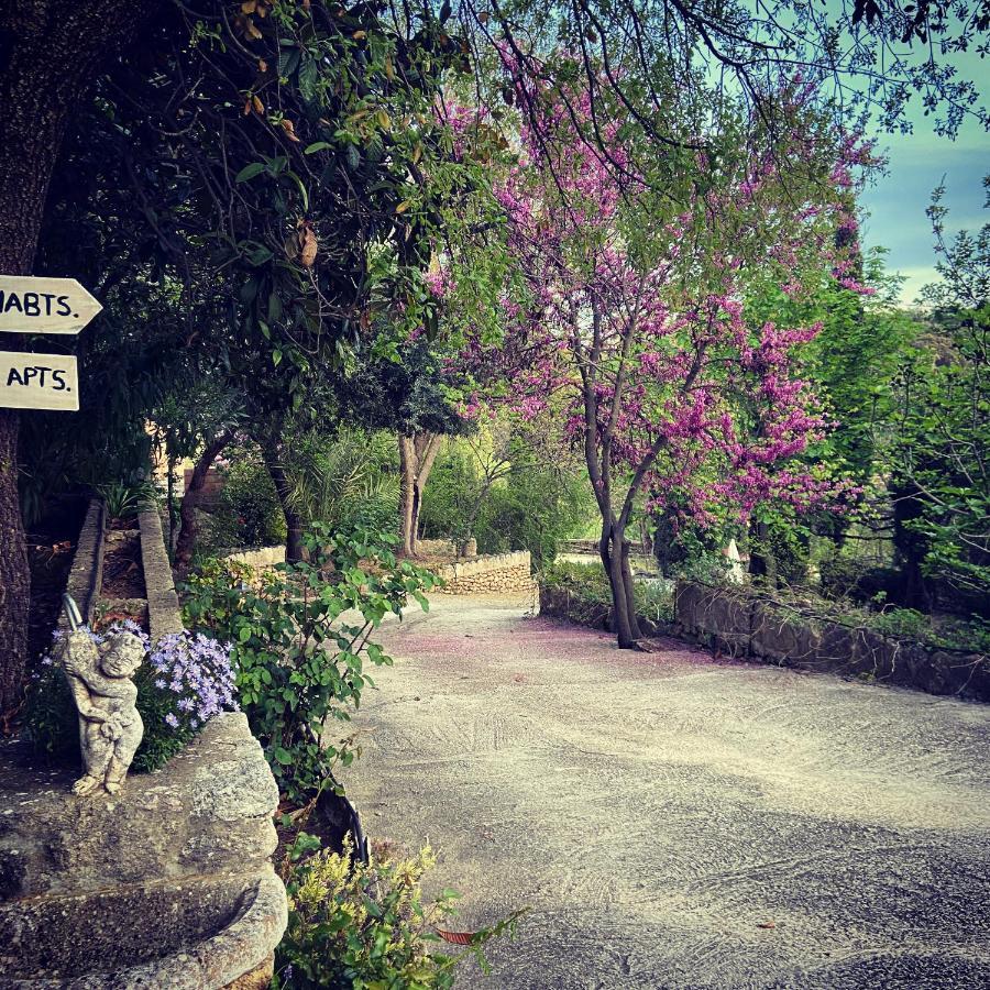 Villa Ignacia B&B - Naturaleza Entre Ronda Y Setenil Arriate Dış mekan fotoğraf