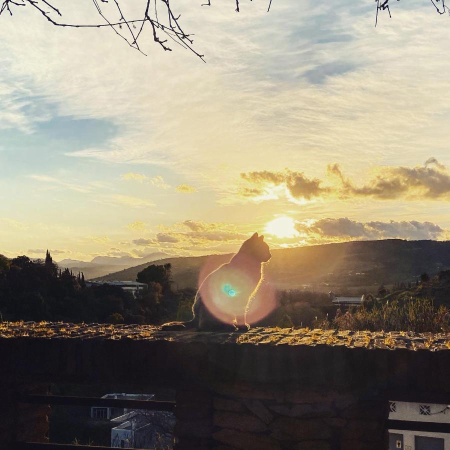 Villa Ignacia B&B - Naturaleza Entre Ronda Y Setenil Arriate Dış mekan fotoğraf
